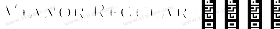 Vianor Regular字体转换